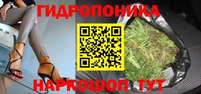 стаф Абакан
