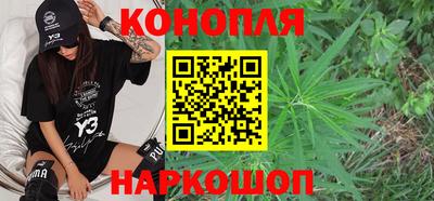 спайс Гай