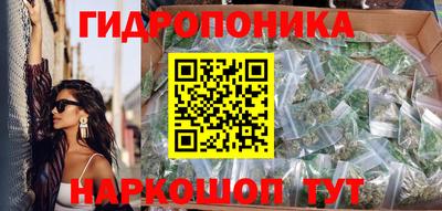 стаф Абакан