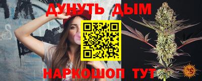 МДПВ Гатчина