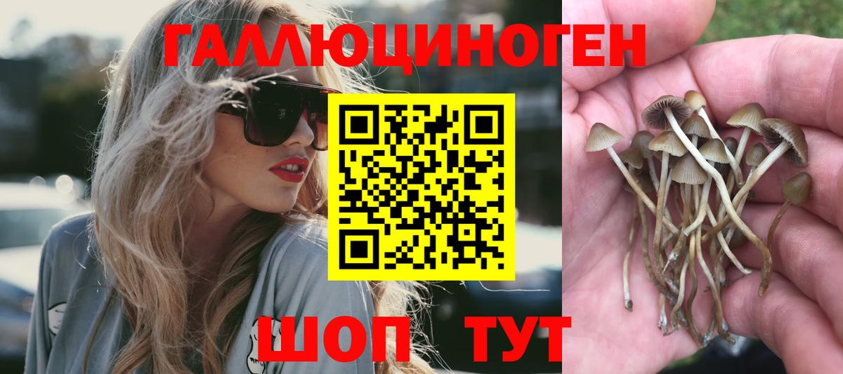Алексин  Псилоцибиновые грибы мухоморы  Вход с VPN  Псилоцибиновые грибы ЛСД 